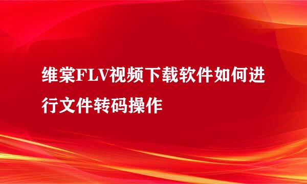 维棠FLV视频下载软件如何进行文件转码操作