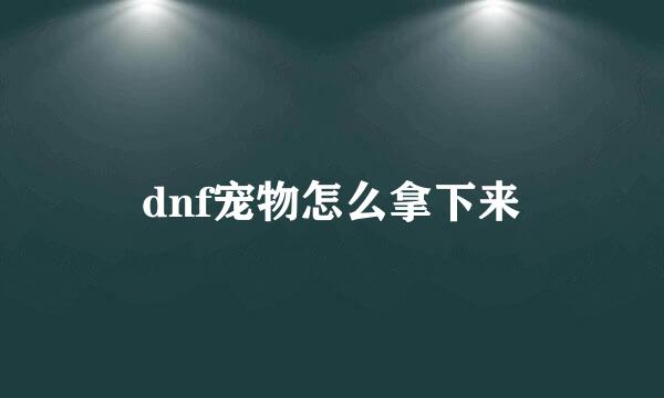 dnf宠物怎么拿下来