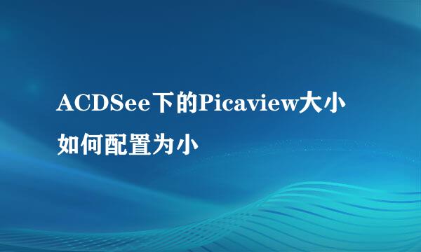ACDSee下的Picaview大小如何配置为小