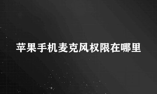 苹果手机麦克风权限在哪里