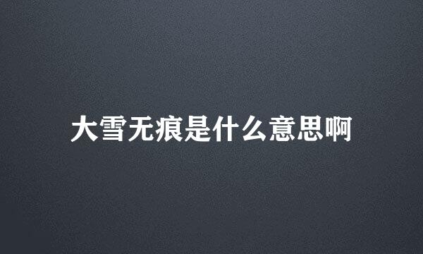 大雪无痕是什么意思啊