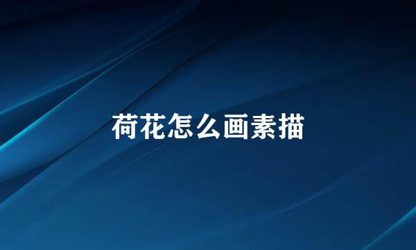 荷花怎么画素描