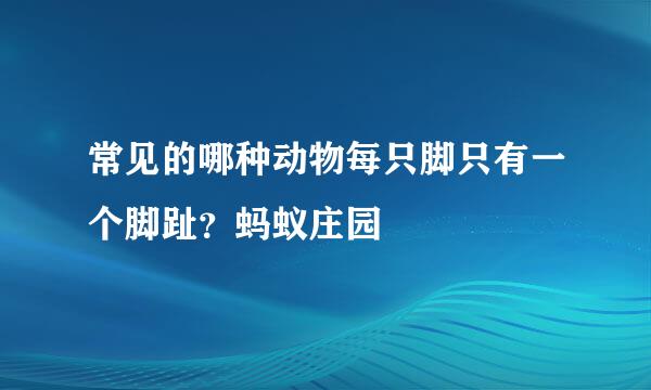 常见的哪种动物每只脚只有一个脚趾？蚂蚁庄园