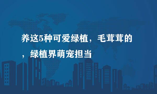 养这5种可爱绿植，毛茸茸的，绿植界萌宠担当