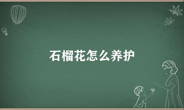 石榴花怎么养护