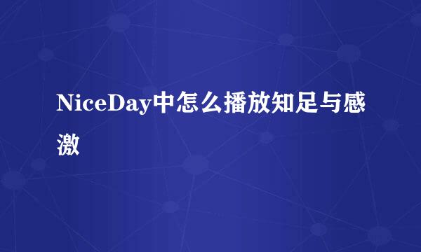 NiceDay中怎么播放知足与感激
