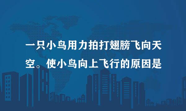 一只小鸟用力拍打翅膀飞向天空。使小鸟向上飞行的原因是