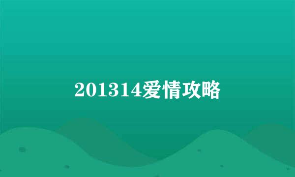 201314爱情攻略