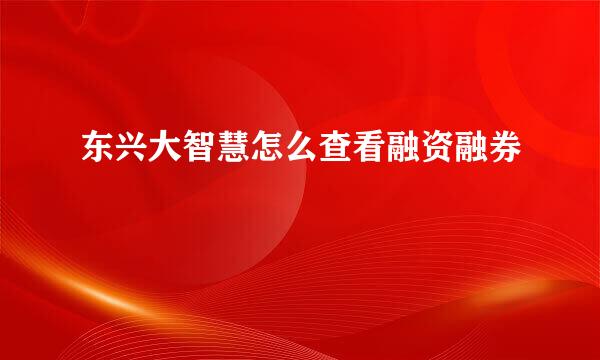 东兴大智慧怎么查看融资融券