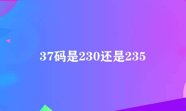 37码是230还是235