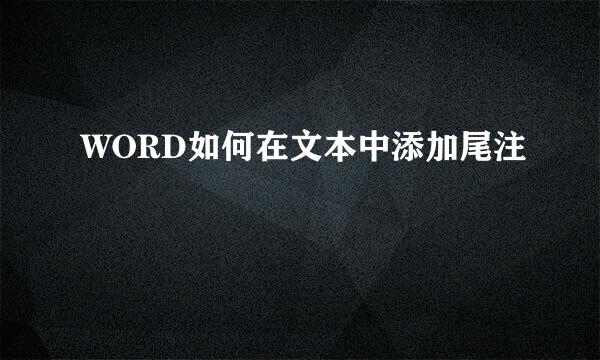 WORD如何在文本中添加尾注