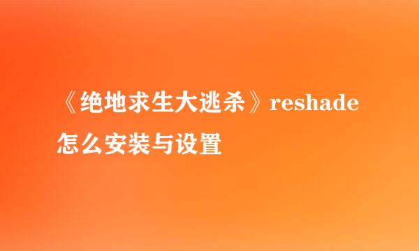 《绝地求生大逃杀》reshade怎么安装与设置
