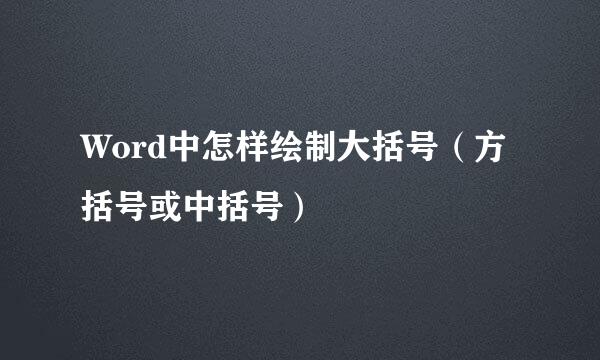 Word中怎样绘制大括号(方括号或中括号)