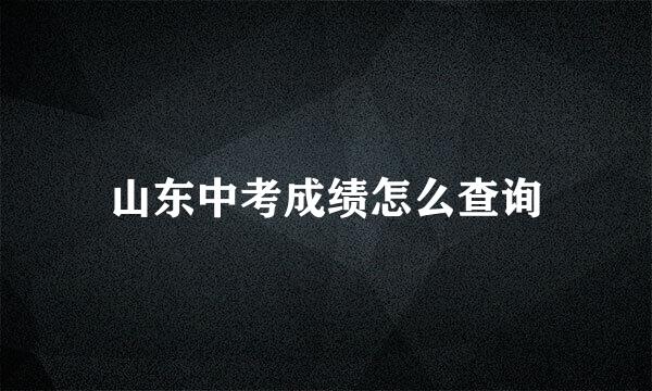 山东中考成绩怎么查询