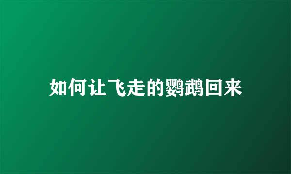 如何让飞走的鹦鹉回来