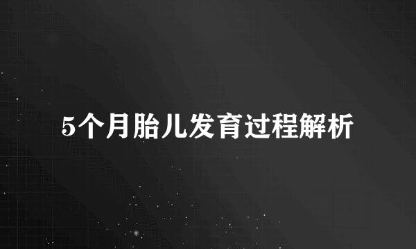 5个月胎儿发育过程解析