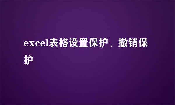 excel表格设置保护、撤销保护