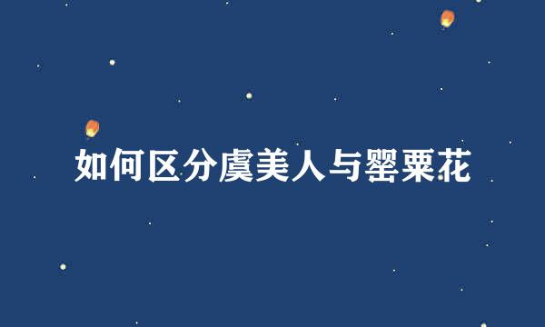 如何区分虞美人与罂粟花