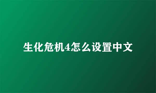 生化危机4怎么设置中文