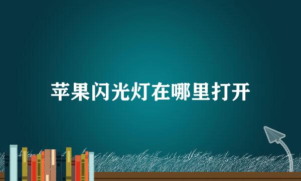 苹果闪光灯在哪里打开