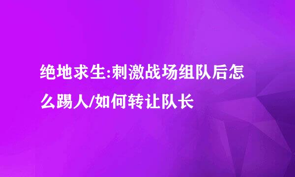 绝地求生:刺激战场组队后怎么踢人/如何转让队长