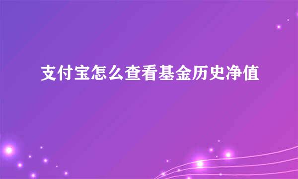 支付宝怎么查看基金历史净值