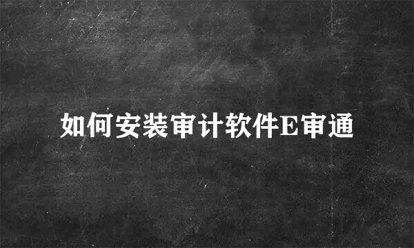 如何安装审计软件E审通