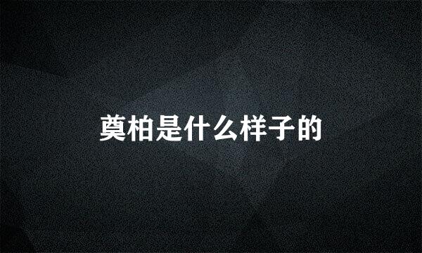 奠柏是什么样子的
