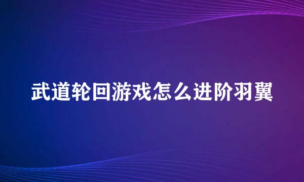 武道轮回游戏怎么进阶羽翼