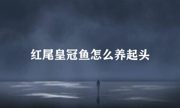 红尾皇冠鱼怎么养起头