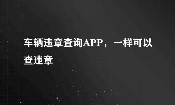 车辆违章查询APP，一样可以查违章
