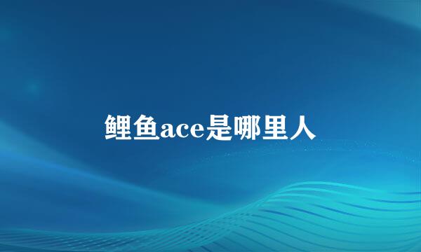 鲤鱼ace是哪里人