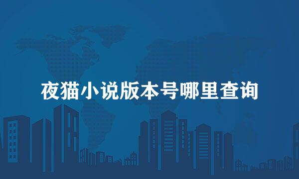 夜猫小说版本号哪里查询