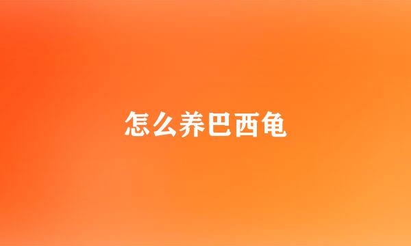怎么养巴西龟