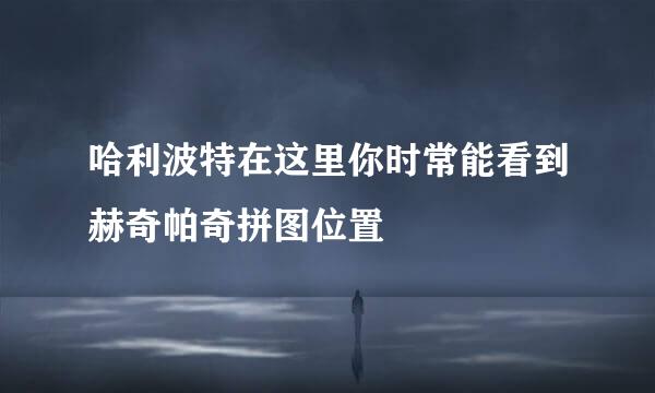 哈利波特在这里你时常能看到赫奇帕奇拼图位置