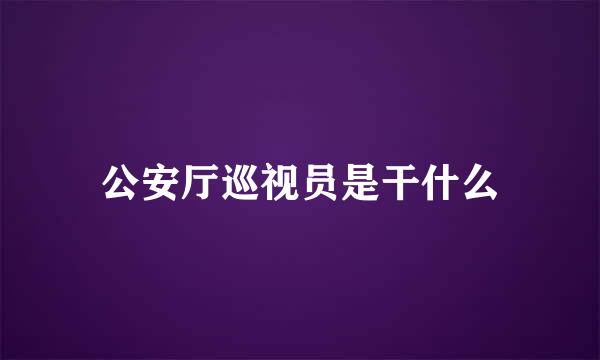 公安厅巡视员是干什么