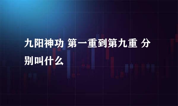 九阳神功 第一重到第九重 分别叫什么