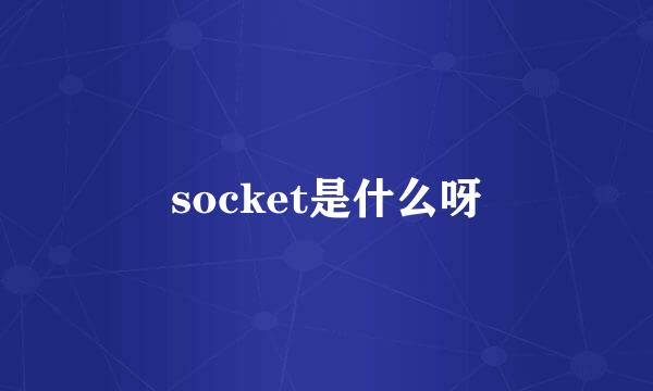 socket是什么呀