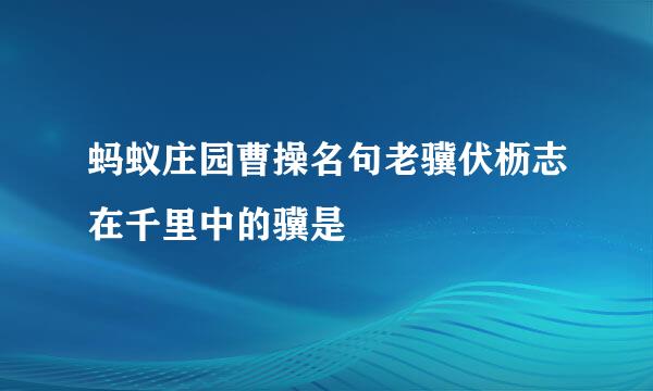 蚂蚁庄园曹操名句老骥伏枥志在千里中的骥是