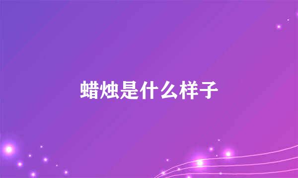 蜡烛是什么样子