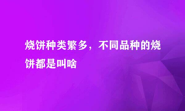 烧饼种类繁多，不同品种的烧饼都是叫啥