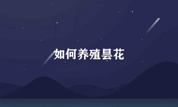 如何养殖昙花