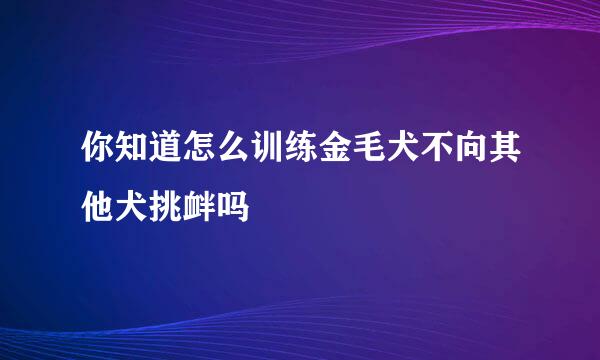 你知道怎么训练金毛犬不向其他犬挑衅吗
