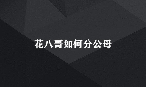 花八哥如何分公母