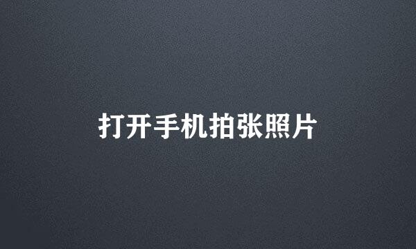 打开手机拍张照片