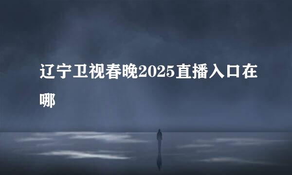 辽宁卫视春晚2025直播入口在哪