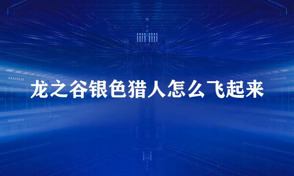 龙之谷银色猎人怎么飞起来