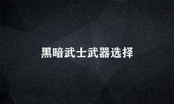 黑暗武士武器选择