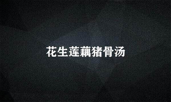 花生莲藕猪骨汤