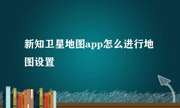 新知卫星地图app怎么进行地图设置